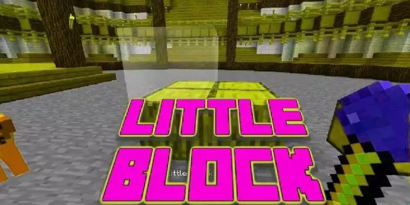 Play Little Blocks Mod  Minecraft