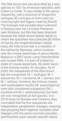 Play little brown a bat as an online game little brown a bat with UptoPlay