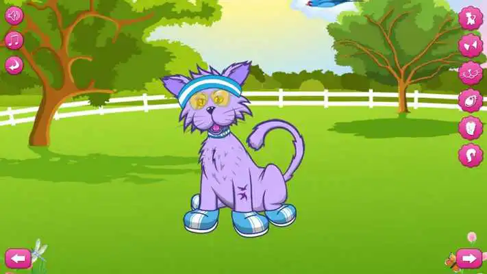 Play Little Cat