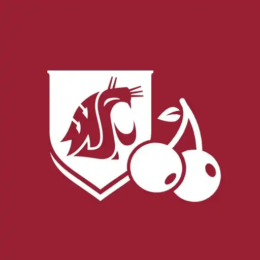 Play Little Cherry Scouting Guide APK