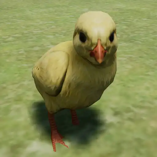 Play Little Chick Simulator APK