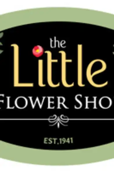 Play Little Flower Shop as an online game Little Flower Shop with UptoPlay