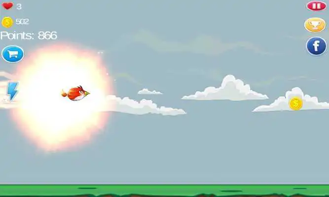 Play Little Fluffy Bird