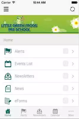 Play Little Green Frogs Preschool