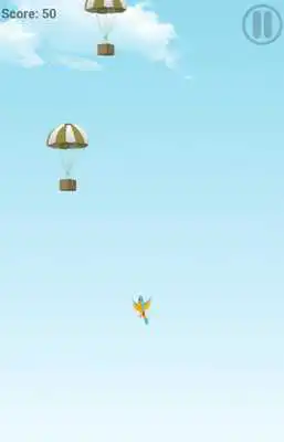 Play Little Jumper Bird