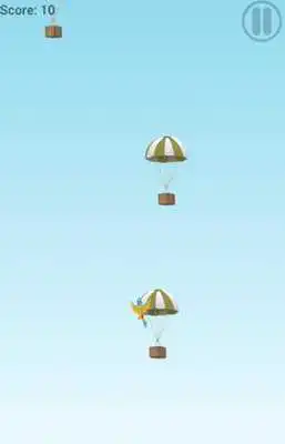 Play Little Jumper Bird