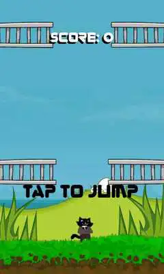 Play Little Jumping Kitten