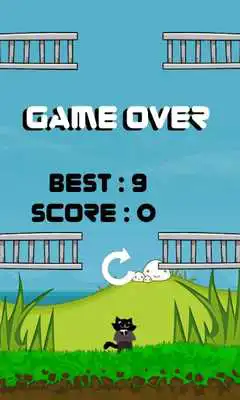 Play Little Jumping Kitten