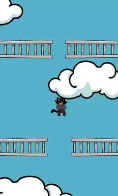 Play Little Jumping Kitten