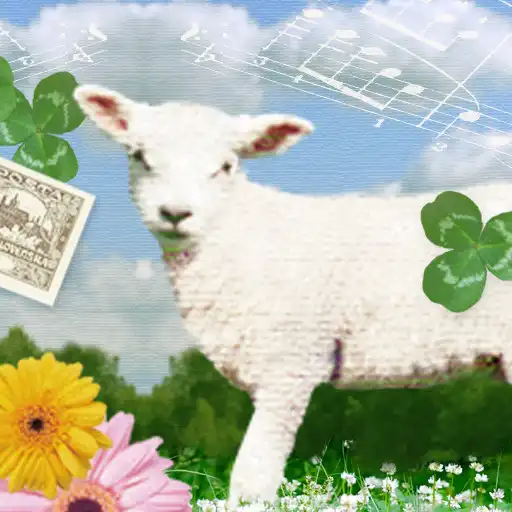 Free play online Little Lamb Wallpaper Theme APK Free play online Little Lamb Wallpaper Theme APK