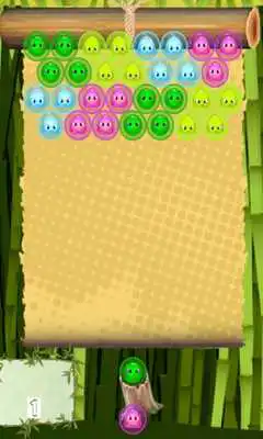 Play Little Panda Jelly Shooter