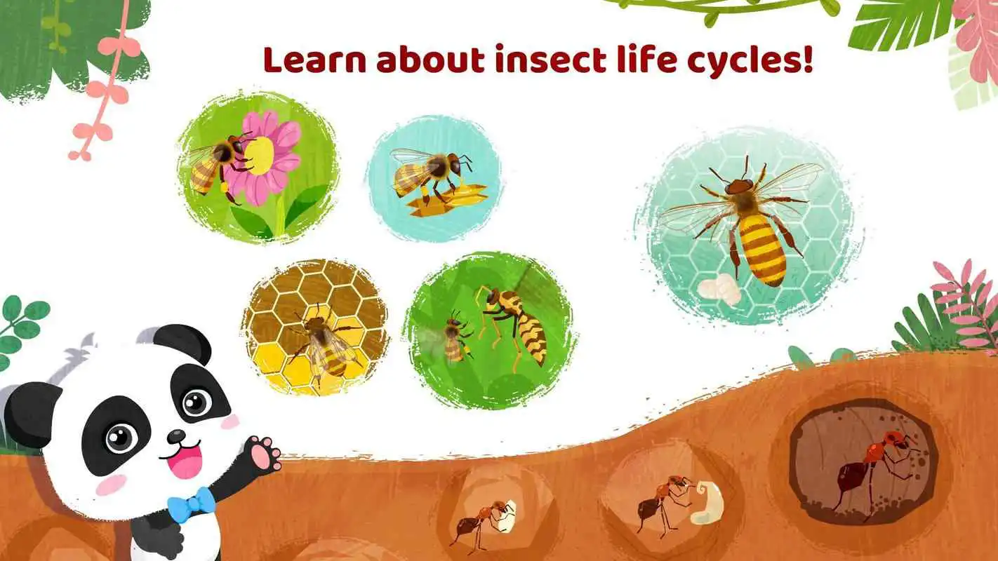 Play Little Pandas Insect World - Bee  Ant