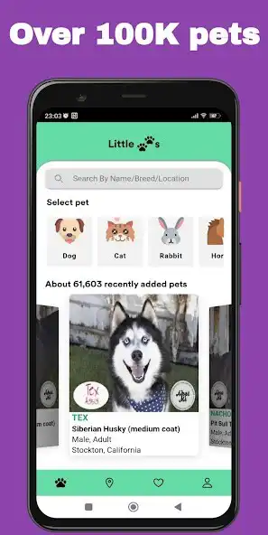 Play Little Paws Adopt: Adopt a Pet  and enjoy Little Paws Adopt: Adopt a Pet with UptoPlay