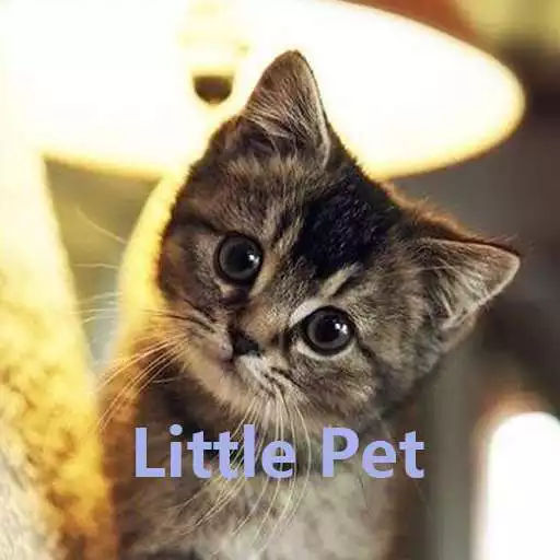 Play Little Pet APK Play Little Pet APK