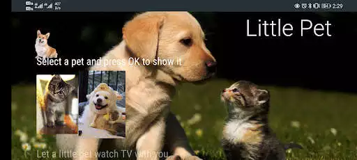 Play Little Pet  and enjoy Little Pet with UptoPlay