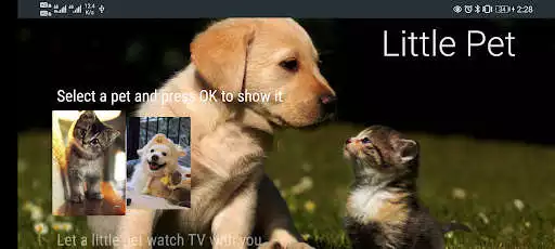 Play Little Pet as an online game Little Pet with UptoPlay