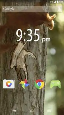 Play Little red squirrel LWallpaper