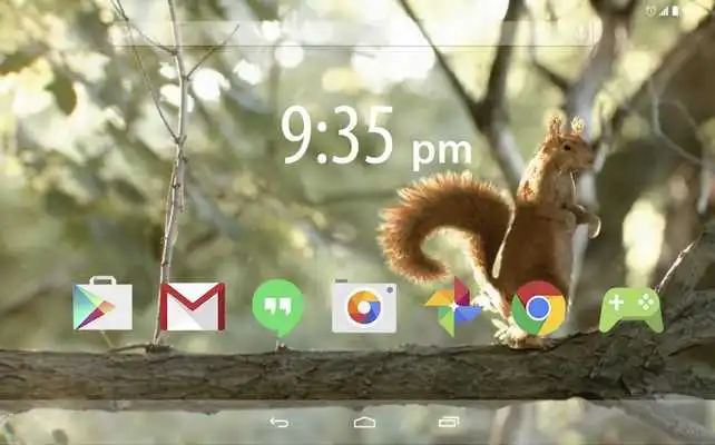 Play Little red squirrel LWallpaper