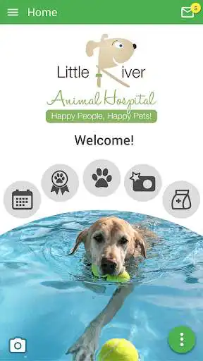 Play Little River Animal Hospital  and enjoy Little River Animal Hospital with UptoPlay