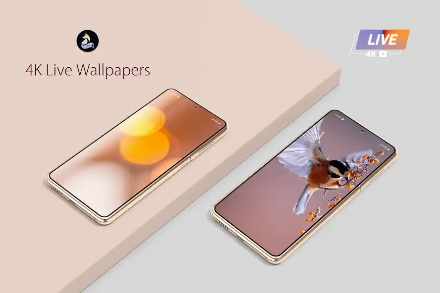 Play Live and 4K Wallpapers  and enjoy Live and 4K Wallpapers with UptoPlay