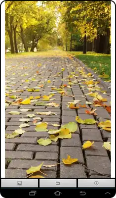 Play Live Autumn Wallpaper
