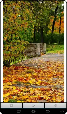 Play Live Autumn Wallpaper
