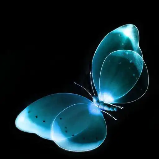 Play Live Butterfly Wallpapers APK Play Live Butterfly Wallpapers APK