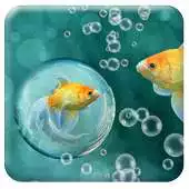 Free play online Live Fish Wallpaper APK