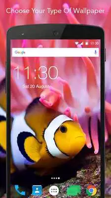 Play Live Fish Wallpaper Play Live Fish Wallpaper