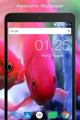 Play Live Fish Wallpaper Play Live Fish Wallpaper
