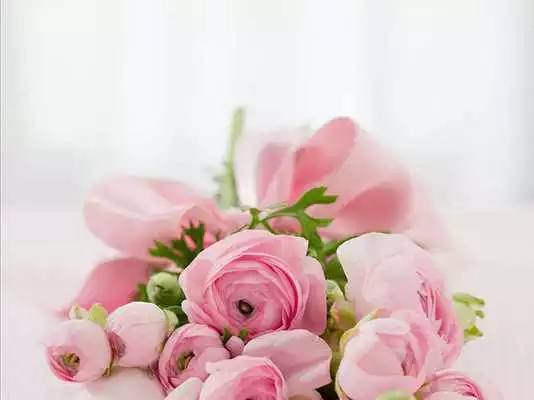 Play Live Flower Wallpaper