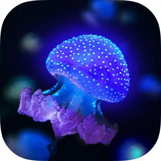 Run free android online Live Gallery APK Run free android online Live Gallery APK