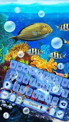 Play Live Ocean Dolphin Keyboard Theme