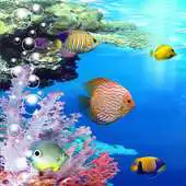 Free play online Live Oceans APK