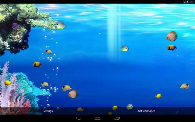 Play Live Oceans