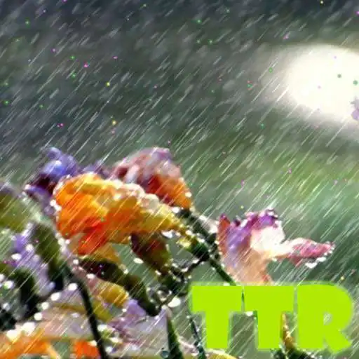 Free play online live rain wallpaper APK Free play online live rain wallpaper APK