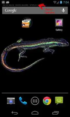 Play Live Skink Desktop Wallpaper