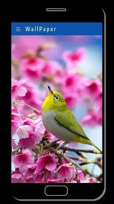 Play Live Static Natural HD Wallpaper 2018