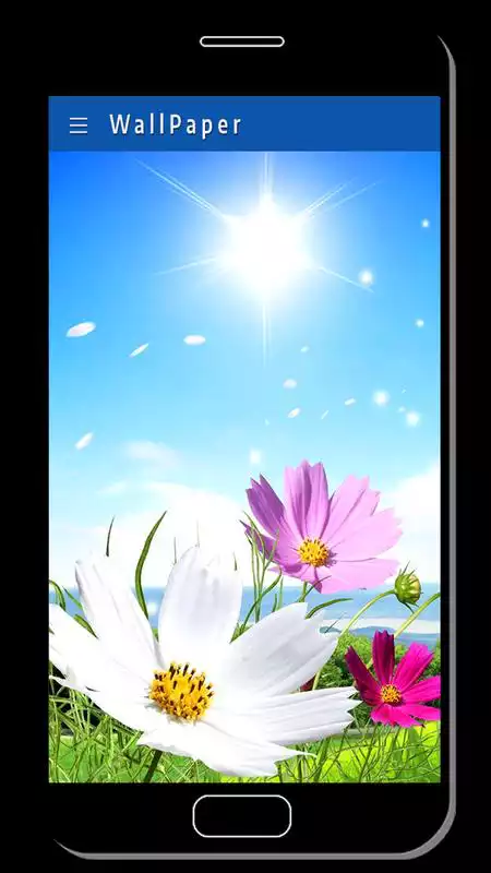 Play Live Static Natural HD Wallpaper 2018