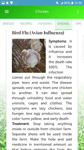 Play Livestock Health Care Informat and enjoy Livestock Health Care Informat with UptoPlay Play Livestock Health Care Informat and enjoy Livestock Health Care Informat with UptoPlay