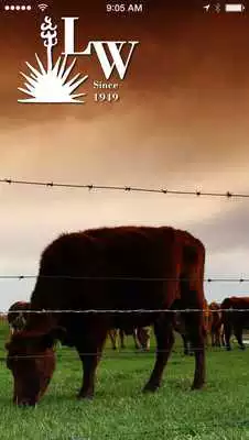 Play Livestock Weekly