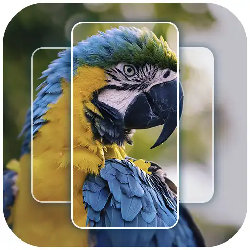 Play Live Wallpaper 3D APK Play Live Wallpaper 3D APK