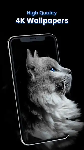 Play Live Wallpaper 4k: Transparent as an online game Live Wallpaper 4k: Transparent with UptoPlay