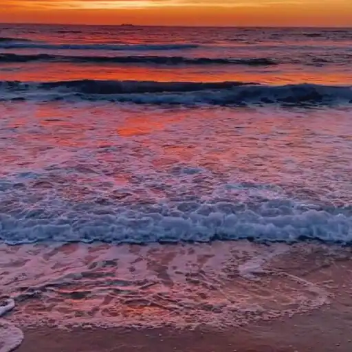 Play Live Wallpaper Alam APK