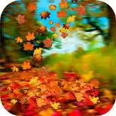 Free play online Live Wallpaper Autumn leaves APK Free play online Live Wallpaper Autumn leaves APK