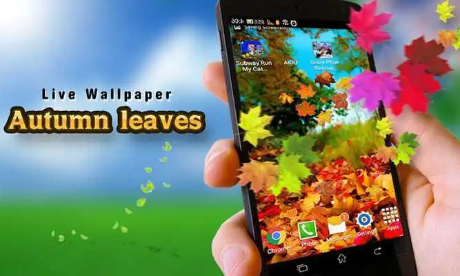 Play Live Wallpaper Autumn leaves