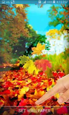 Play Live Wallpaper Autumn leaves