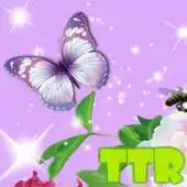 Free play online live wallpaper butterfly APK Free play online live wallpaper butterfly APK