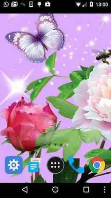 Play live wallpaper butterfly