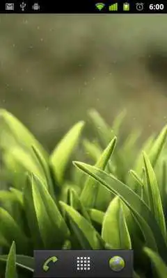 Play live wallpaper grass